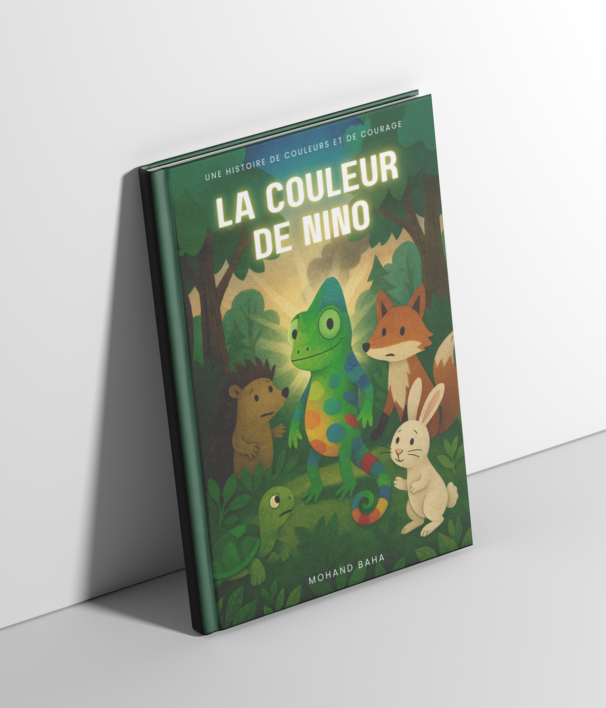 Livre La couleur de Nino ouvert sur une illustration intérieure